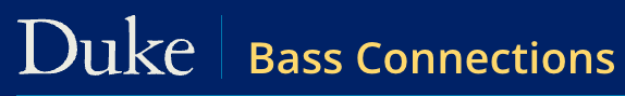 Bass connections
