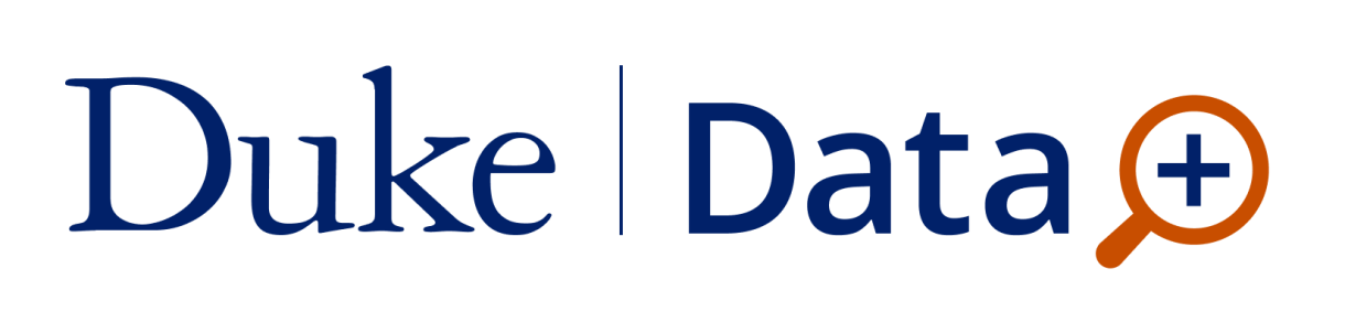 Data+ program wordmark